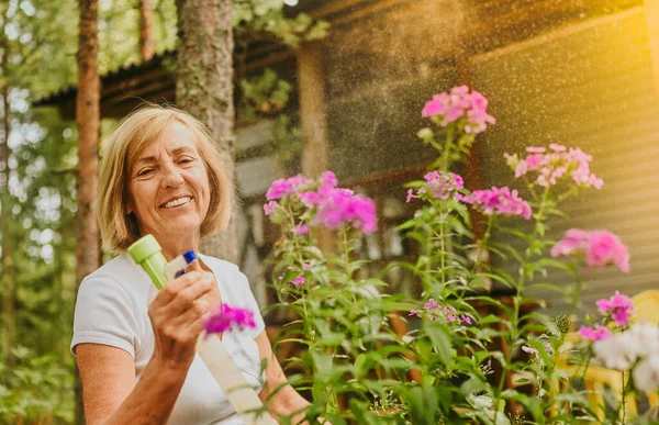 Anciana jardinero mayor agricultora cuidado de flores en el jardín de verano en el campo al aire libre, pulveriza las plantas con flores pulverizador de agua. Agricultura, jardinería, agricultura, ancianos jubilados. —  Fotos de Stock