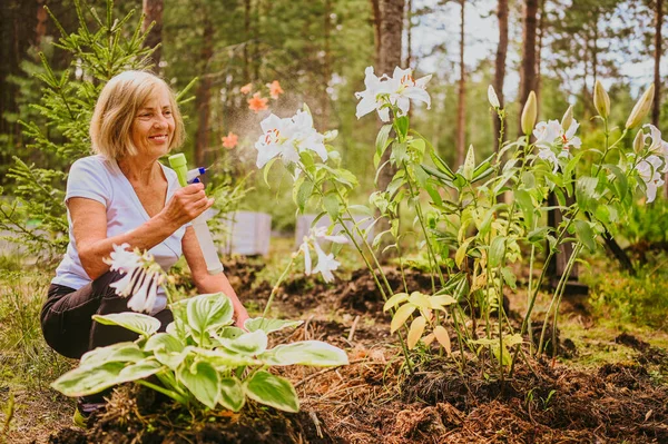 Pekebun senior wanita tua yang merawat bunga di taman musim panas di pedesaan di luar, menyemprotkan tanaman berbunga menggunakan katup air. Pertanian, berkebun, pertanian, pensiunan orang tua. — Stok Foto