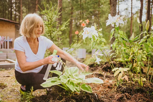Pekebun senior wanita tua yang merawat bunga di taman musim panas di pedesaan di luar, menyemprotkan tanaman berbunga menggunakan katup air. Pertanian, berkebun, pertanian, pensiunan orang tua. — Stok Foto
