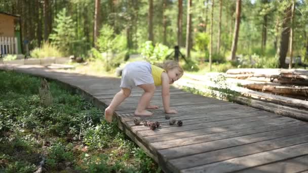 Klein grappig blond meisje kind peuter in geel ondershirt en grijze shorts wandelen spelen op houten eco trail buiten in de zomer op de voortuin platteland. Gezond concept voor een gelukkige jeugd — Stockvideo