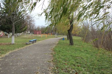 Parktaki patika, rüzgarlı havada sağdaki ağaçta soldaki bankta..