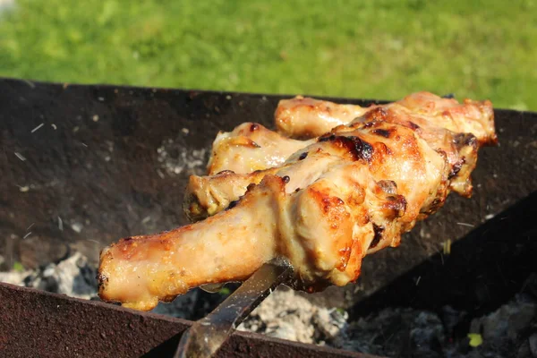 Pernas Frango São Espetos Grelhados Sobre Carvão Churrasco Piquenique — Fotografia de Stock