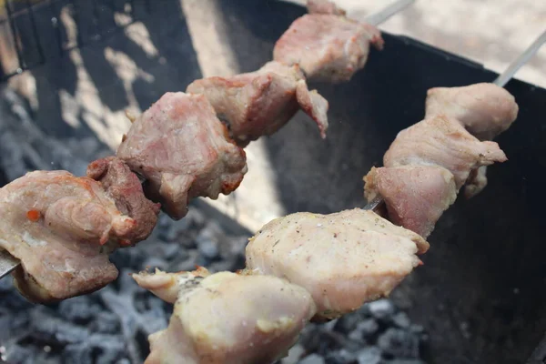 Carne Grelhada Espeto Frango Grelhado Frito Carvão Vegetal Resto Verão — Fotografia de Stock