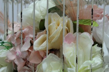 Açık yeşillikli beyaz pembe çam ağaçlarının çiçekli arka planı.