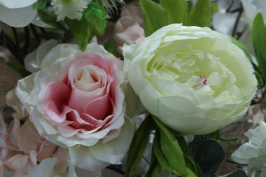 Açık yeşillikli beyaz pembe çam ağaçlarının çiçekli arka planı.