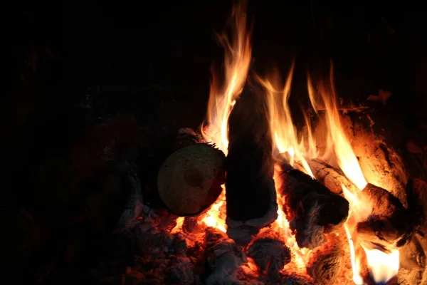 Bonfire Fire Smoke Close Dark Black Background Burning Wood Wood Stock Picture