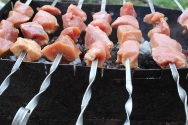 Şaşlık. Et kömürde şişte pişirilir. Yemek pişirme süreci. Piknik.