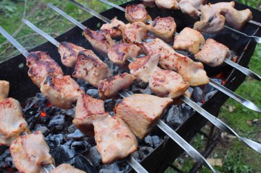 Kömürde et pişirmek. Piknik. Barbekü. Doğada yiyecek..