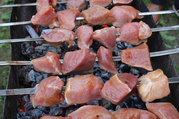 Shashlik Carne Cozinha Espetos Brasas Processo Cozimento Piquenique — Fotografia de Stock