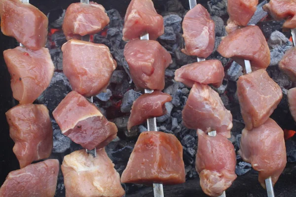 Shashlik Carne Cozinha Espetos Brasas Processo Cozimento Piquenique — Fotografia de Stock