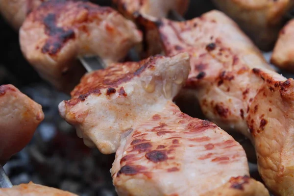 Cozinhar Carne Com Carvão Piquenique Churrasco Alimentos Natureza — Fotografia de Stock