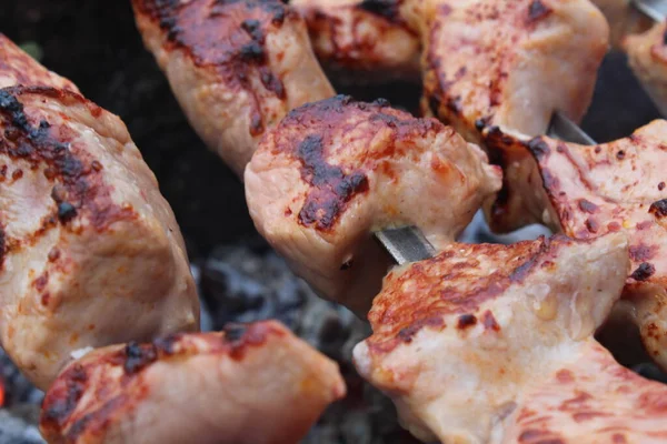 Cozinhar Carne Com Carvão Piquenique Churrasco Alimentos Natureza — Fotografia de Stock