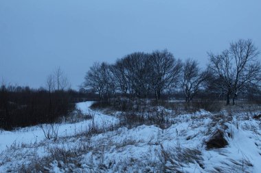 Soğuk renklerle kaplı kış manzarası. Ağaçlar ve çalılar kardaki çimenler.