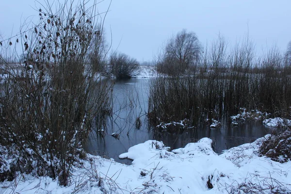 Winterlandschap Koude Kleuren Sneeuwstruiken Water Een Bewolkte Dag Ijs — Stockfoto