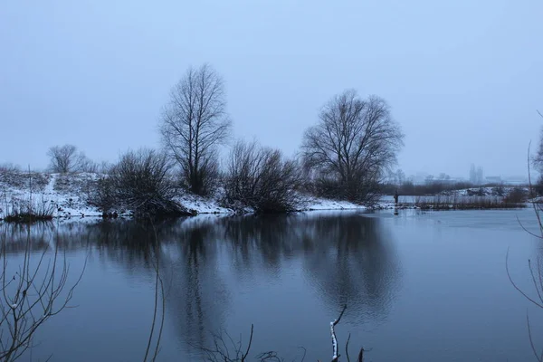 Winterlandschaft Kalten Farben Schneegestrüpp Und Wasser Einem Bewölkten Tag Eis — Stockfoto