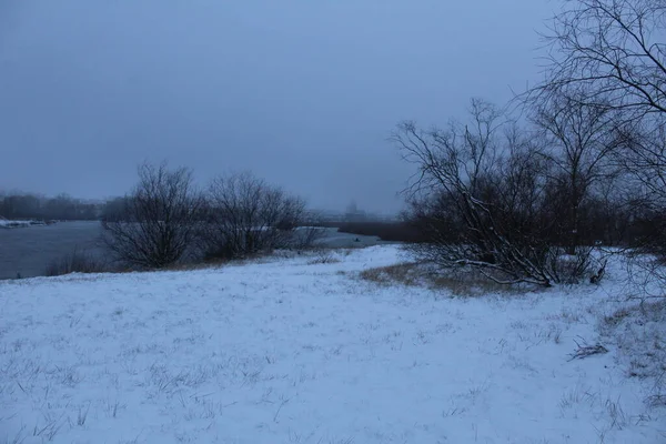 Paisaje Invierno Colores Fríos Arbustos Nieve Agua Día Nublado Hielo —  Fotos de Stock