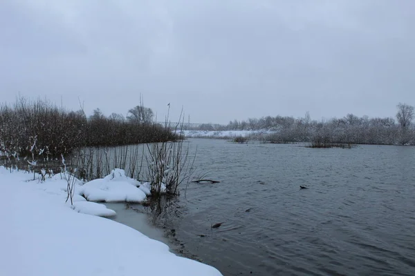 Paisaje Invierno Lago Del Río Sin Hielo Plantas Pantanosas Negativo — Foto de Stock