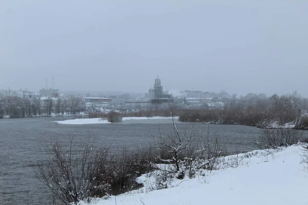 Vinterlandskap Flodsjö Utan Träsk Växter Neg Vinterunderhållning Växter Snön — Stockfoto