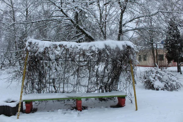 Stadspark Vintern Paths Bänk Träd Julgranar Vintern Snön Vinterpromenader — Stockfoto