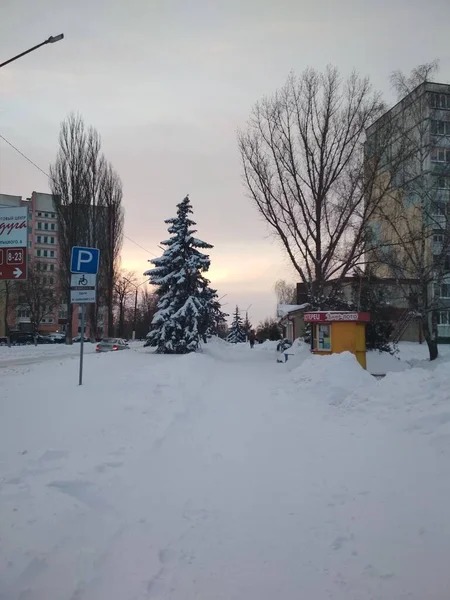 冬季城市景观 街道上有雪树和房屋 新年是在街上过的 — 图库照片