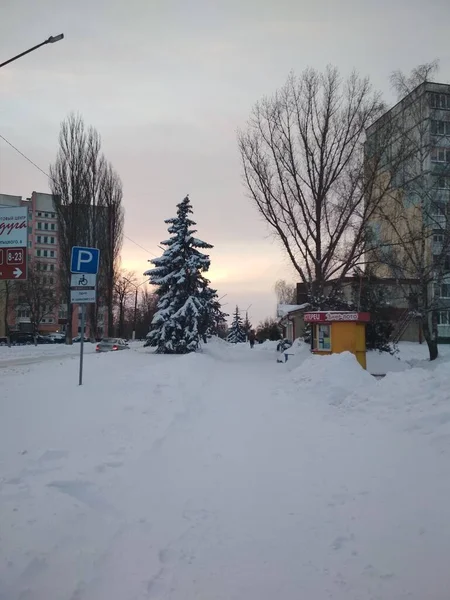 Зимний Городской Пейзаж Дорога Снежными Деревьями Домами Новый Год Рождество — стоковое фото