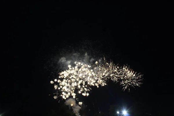 밤하늘에 불꽃이 튀기기 불꽃놀이의 — 스톡 사진