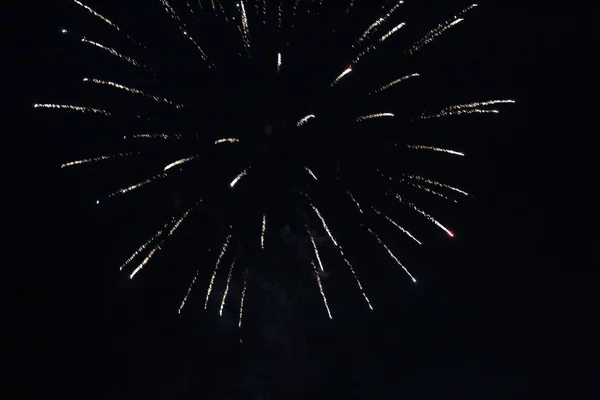 Blume Rosette Funken Weißen Gruß Feuerwerk Auf Schwarzem Dunklen Hintergrund — Stockfoto