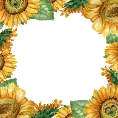 Sosyal ağlar için beyaz arkaplan üzerinde suluboya ayçiçekleri olan bir kartpostal