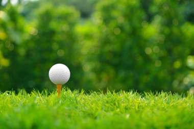 Golf topu izole beyaz zemin üzerine yeşil çimenlerin üzerinde