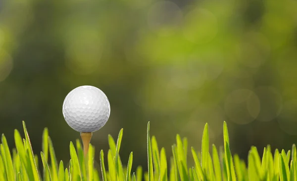 Golf labda, zöld fű póló — Stock Fotó