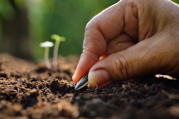 Γκρο πλαν αγρότη χέρι φυτεύοντας σπόρους στο χώμα — Φωτογραφία Αρχείου