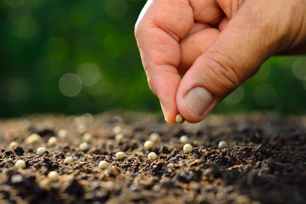Γκρο πλαν αγρότη χέρι φυτεύοντας σπόρους στο χώμα — Φωτογραφία Αρχείου