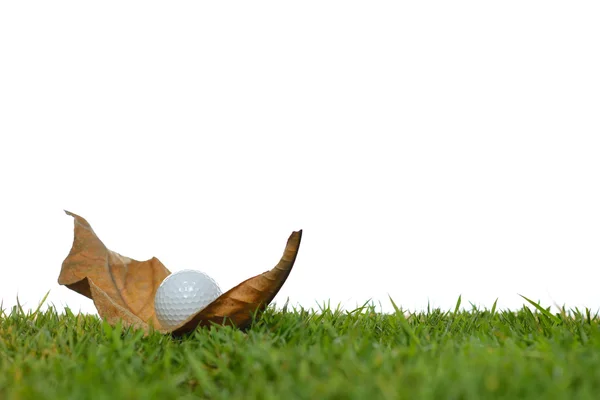 Golf topu golf sahası beyaz arka plan üzerinde izole ölümsüz bir yaprak üzerinde — Stok fotoğraf