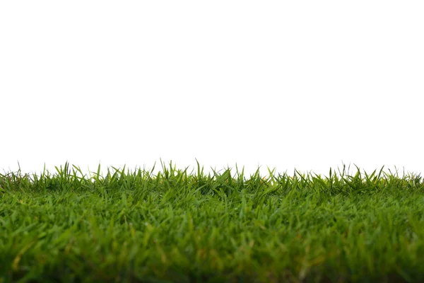 Grünes Gras Wiese Feld isoliert auf weißem Hintergrund — Stockfoto