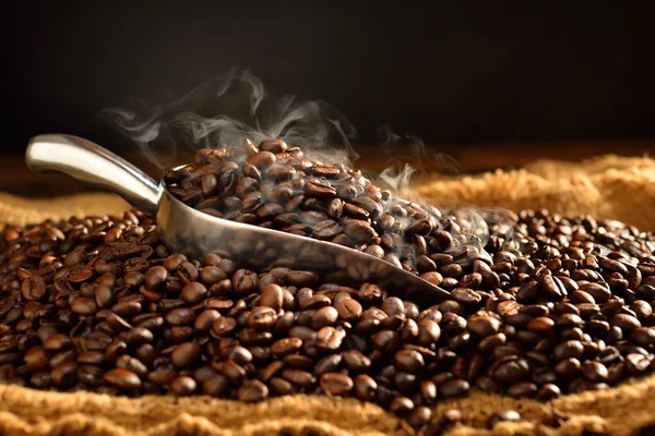 Coffee beans — Stock Photo, Image