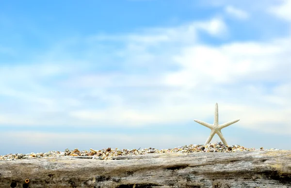 海滩 — 图库照片