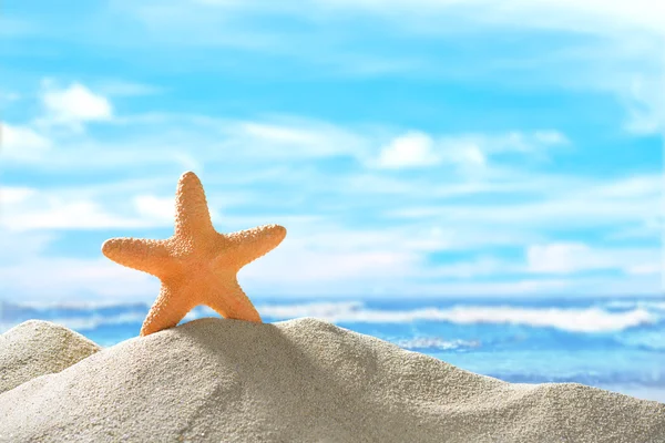Starfish on the sandy beach — Stock Photo, Image