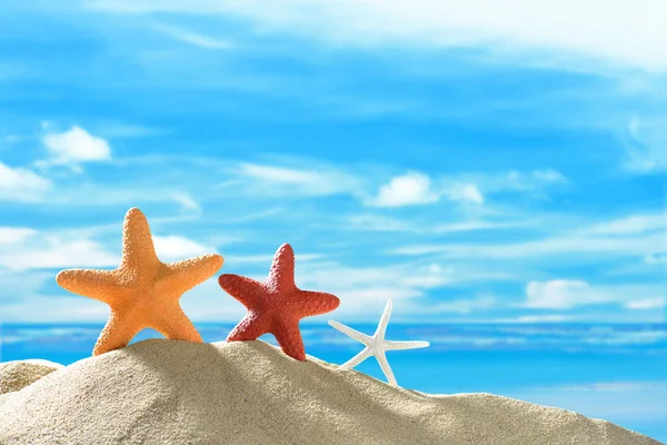 Starfish on the sandy beach — Stock Photo, Image