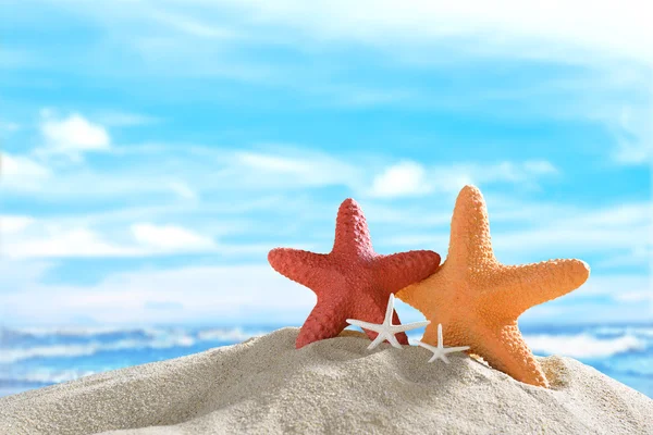 Starfish on the sandy beach — Stock Photo, Image