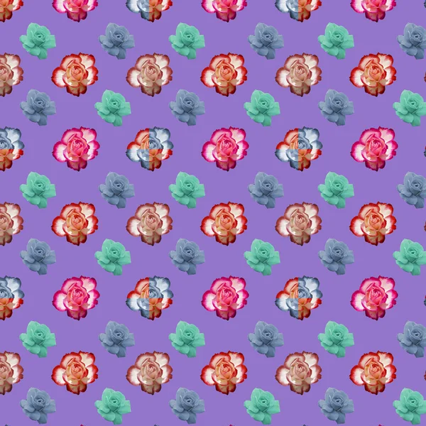 Колаж Троянд Різних Кольорів Фіолетовому Тлі Оригінальний Квітковий Візерунок — стокове фото