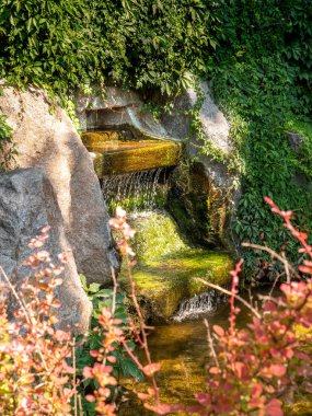 İskenderiye Parkı, Bila Tserkva 'daki güzel bir ışık ve gölge oyunuyla sürünen yeşilliğin ortasındaki şelalenin üzerindeki kırmızı çalıların arasından bak..