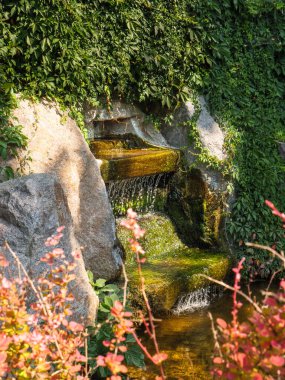 İskenderiye Parkı, Bila Tserkva 'daki güzel bir ışık ve gölge oyunuyla sürünen yeşilliğin ortasındaki şelalenin üzerindeki kırmızı çalıların arasından bak..