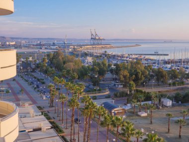 Finikoudes palmiye ağaçlarına tepeden bakan üst hava manzarası ve Akdeniz 'deki eski Larnaka kasabasında tekne ve yatlarla dolu liman..