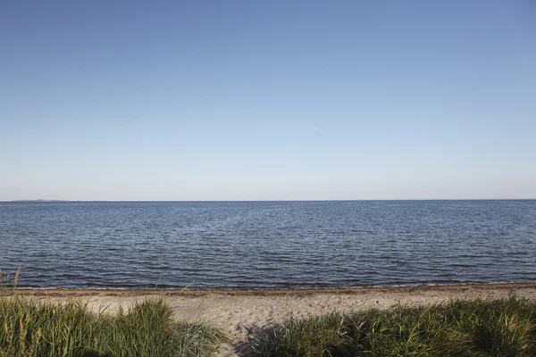 Baltic Sea beach av Ruegen — Stockfoto