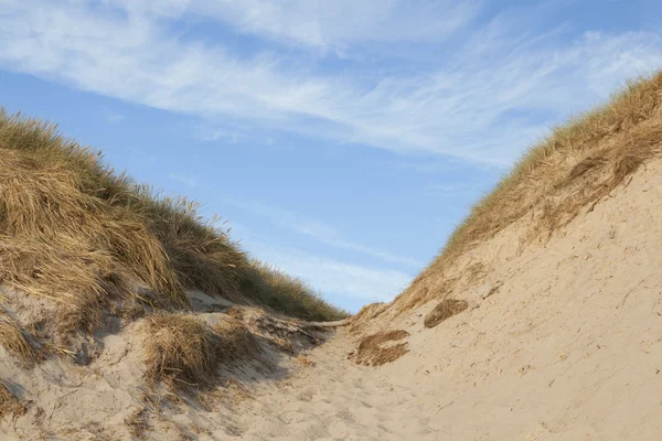 Dunes in Denmark — Stock Photo, Image