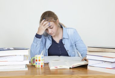 okul için öğrenmek