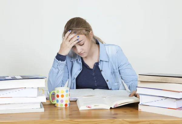 Aprender para la escuela —  Fotos de Stock