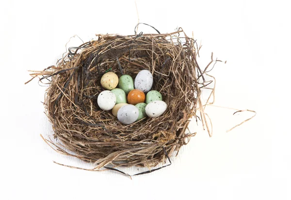 Fészek a húsvéti tojás — Stock Fotó