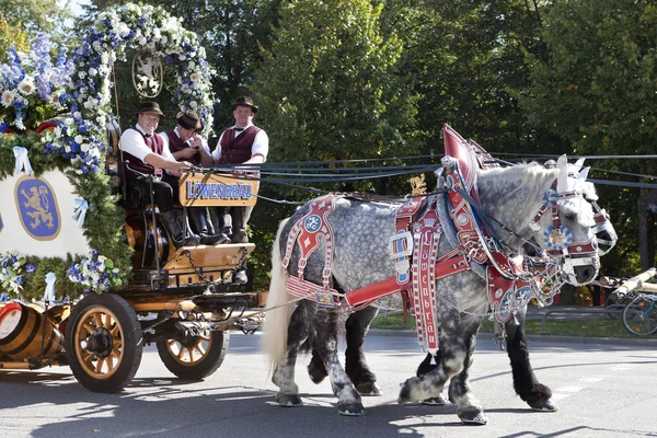 Oktoberfest chevaux tirant chariot — Photo