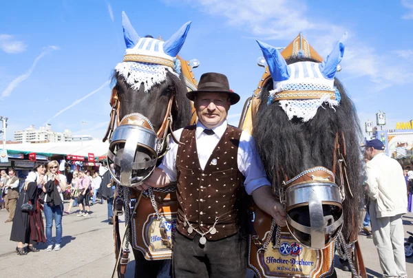 Oktoberfest Horses — Stock Photo, Image